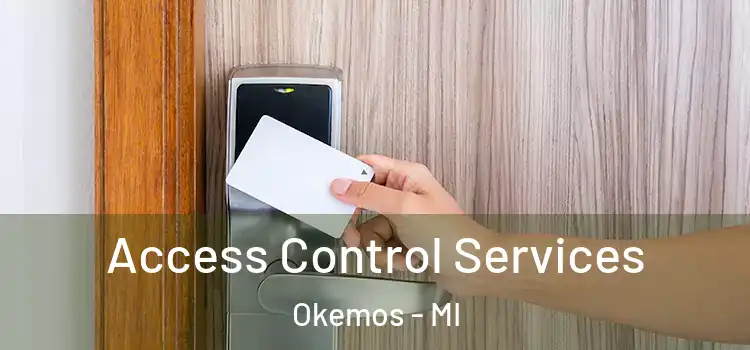 Access Control Services Okemos - MI