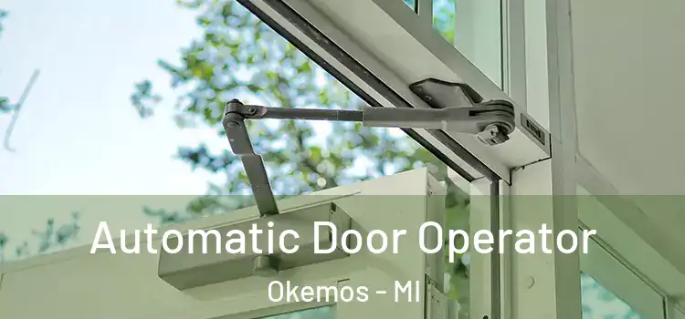 Automatic Door Operator Okemos - MI