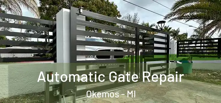 Automatic Gate Repair Okemos - MI