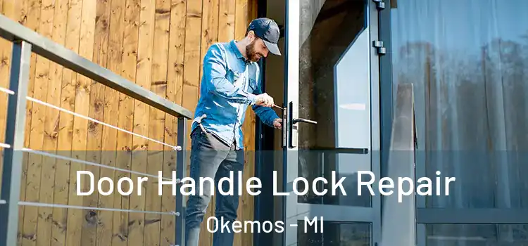 Door Handle Lock Repair Okemos - MI