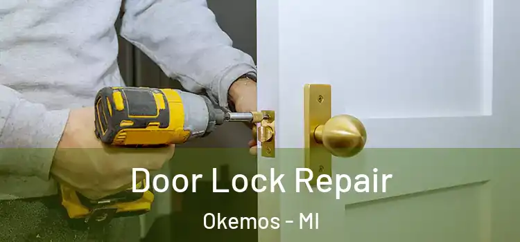 Door Lock Repair Okemos - MI