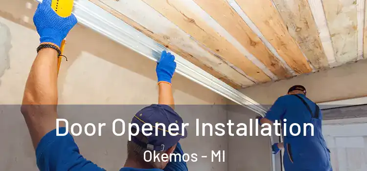 Door Opener Installation Okemos - MI