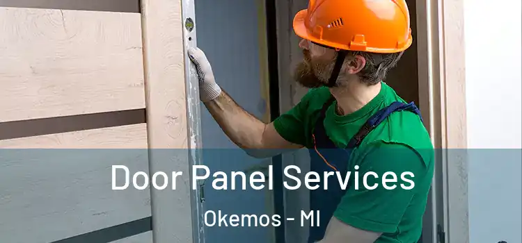 Door Panel Services Okemos - MI