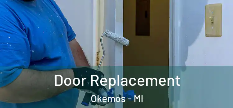 Door Replacement Okemos - MI