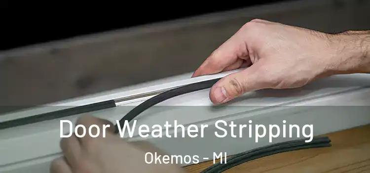 Door Weather Stripping Okemos - MI