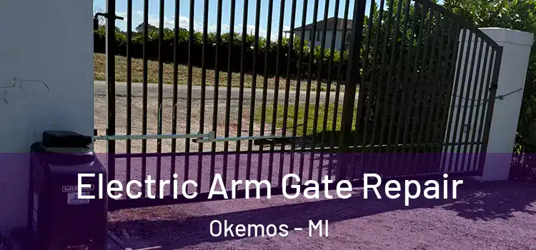 Electric Arm Gate Repair Okemos - MI