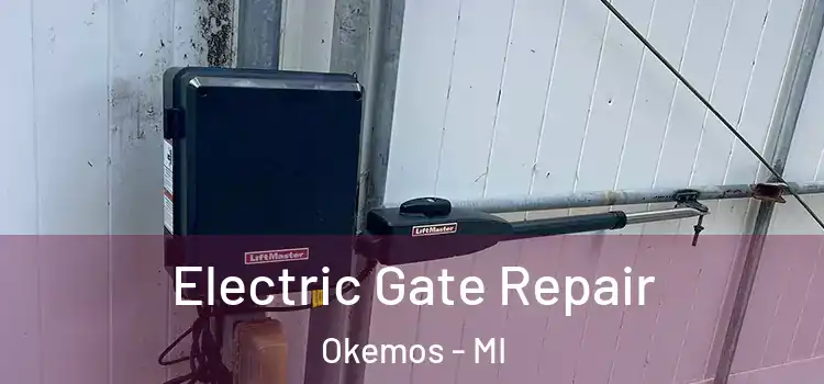 Electric Gate Repair Okemos - MI