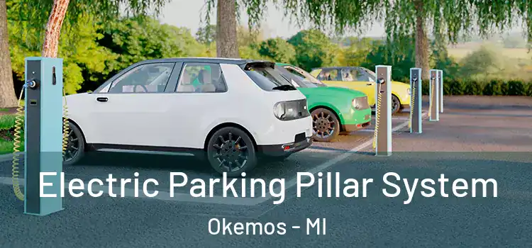 Electric Parking Pillar System Okemos - MI