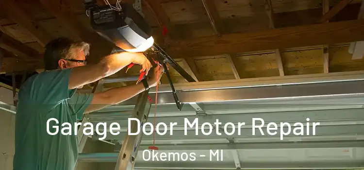  Garage Door Motor Repair Okemos - MI