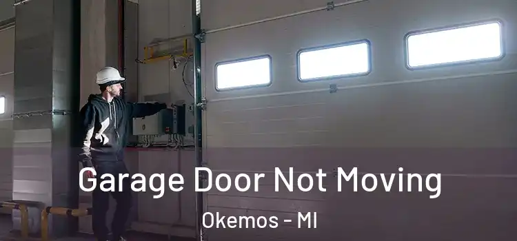  Garage Door Not Moving Okemos - MI