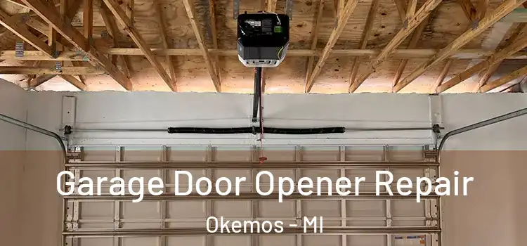  Garage Door Opener Repair Okemos - MI