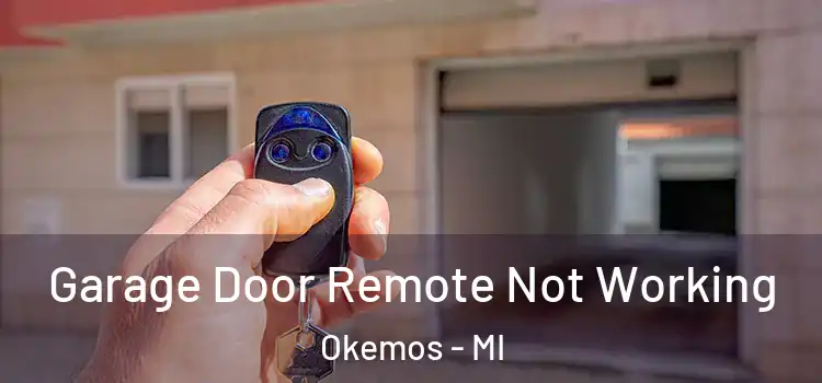  Garage Door Remote Not Working Okemos - MI