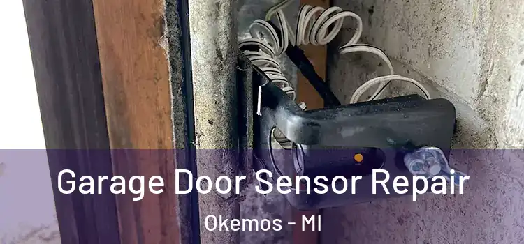 Garage Door Sensor Repair Okemos - MI