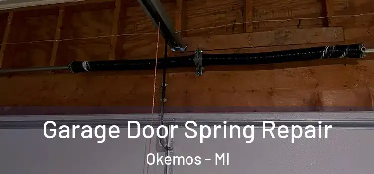  Garage Door Spring Repair Okemos - MI