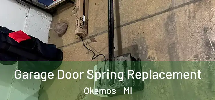  Garage Door Spring Replacement Okemos - MI