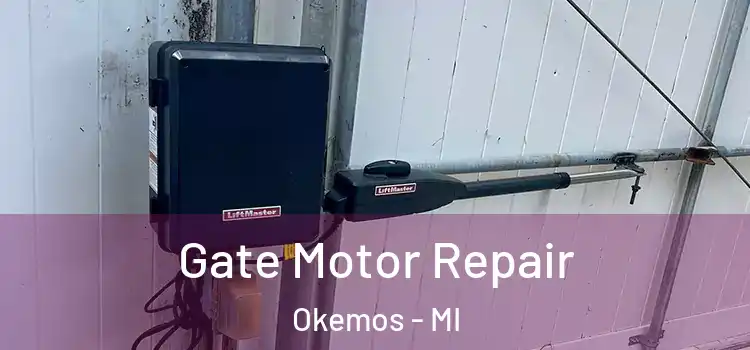 Gate Motor Repair Okemos - MI