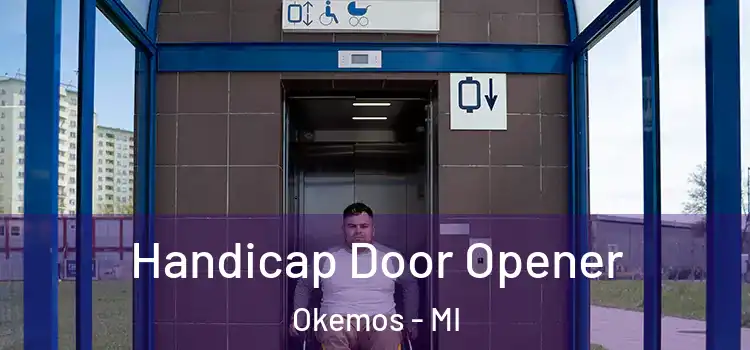 Handicap Door Opener Okemos - MI