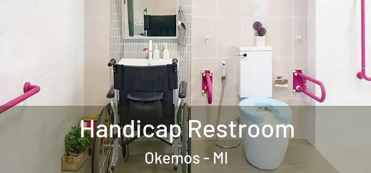  Handicap Restroom Okemos - MI