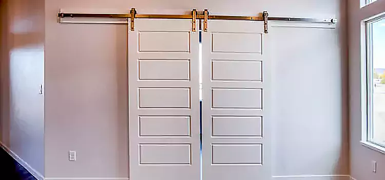 Glass Barn Door with Installation Hardware Kit Okemos