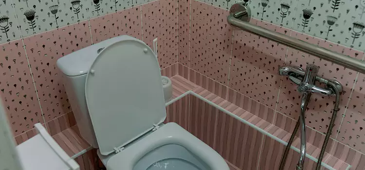 Meeting Diverse Needs With Accessible Restroom Solutions in Okemos, MI