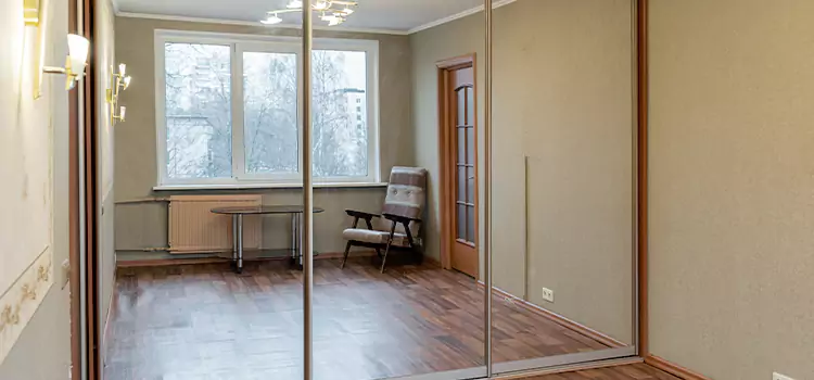 Mirror Closet Door Roller Replacement Okemos