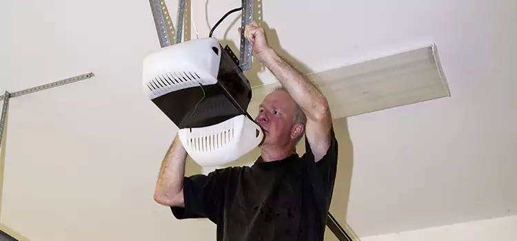 Garage Door Opener Service Okemos
