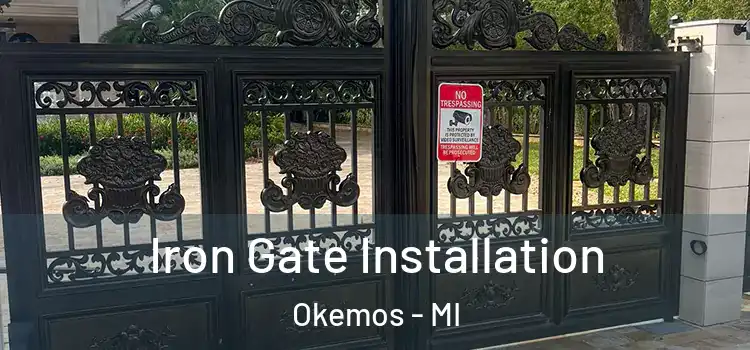 Iron Gate Installation Okemos - MI