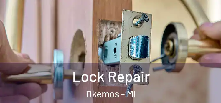 Lock Repair Okemos - MI