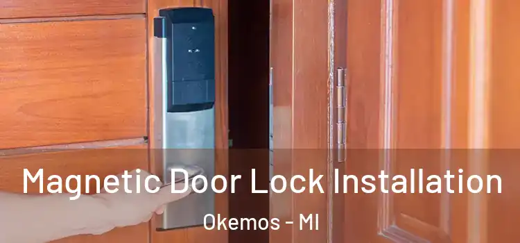 Magnetic Door Lock Installation Okemos - MI