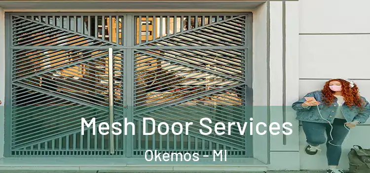 Mesh Door Services Okemos - MI