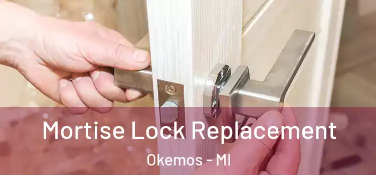 Mortise Lock Replacement Okemos - MI