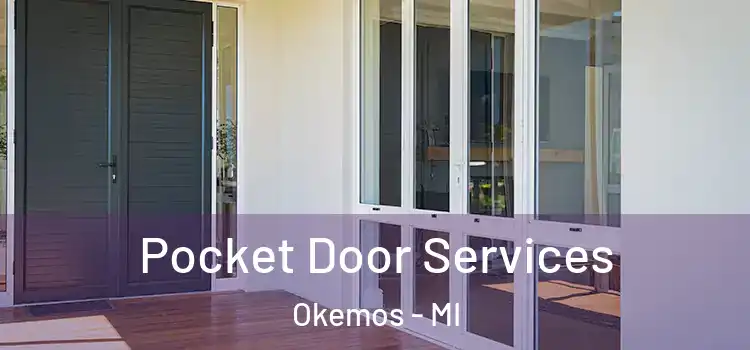 Pocket Door Services Okemos - MI
