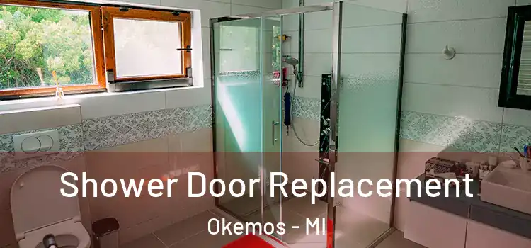 Shower Door Replacement Okemos - MI