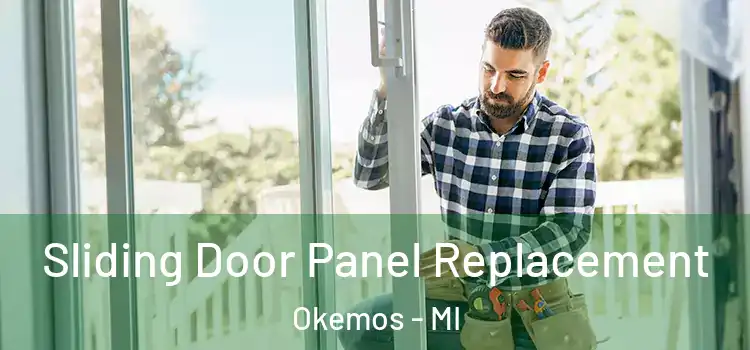  Sliding Door Panel Replacement Okemos - MI