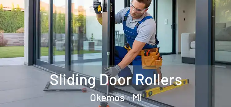 Sliding Door Rollers Okemos - MI