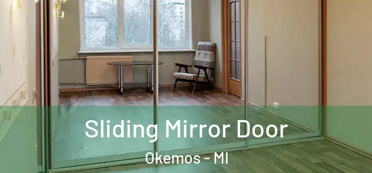  Sliding Mirror Door Okemos - MI