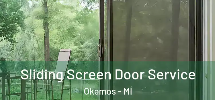 Sliding Screen Door Service Okemos - MI