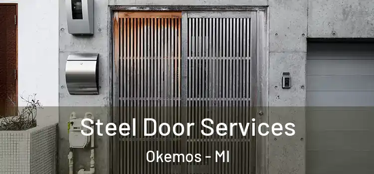 Steel Door Services Okemos - MI