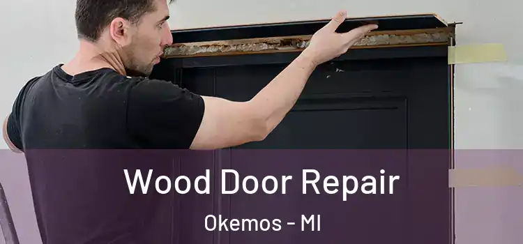 Wood Door Repair Okemos - MI